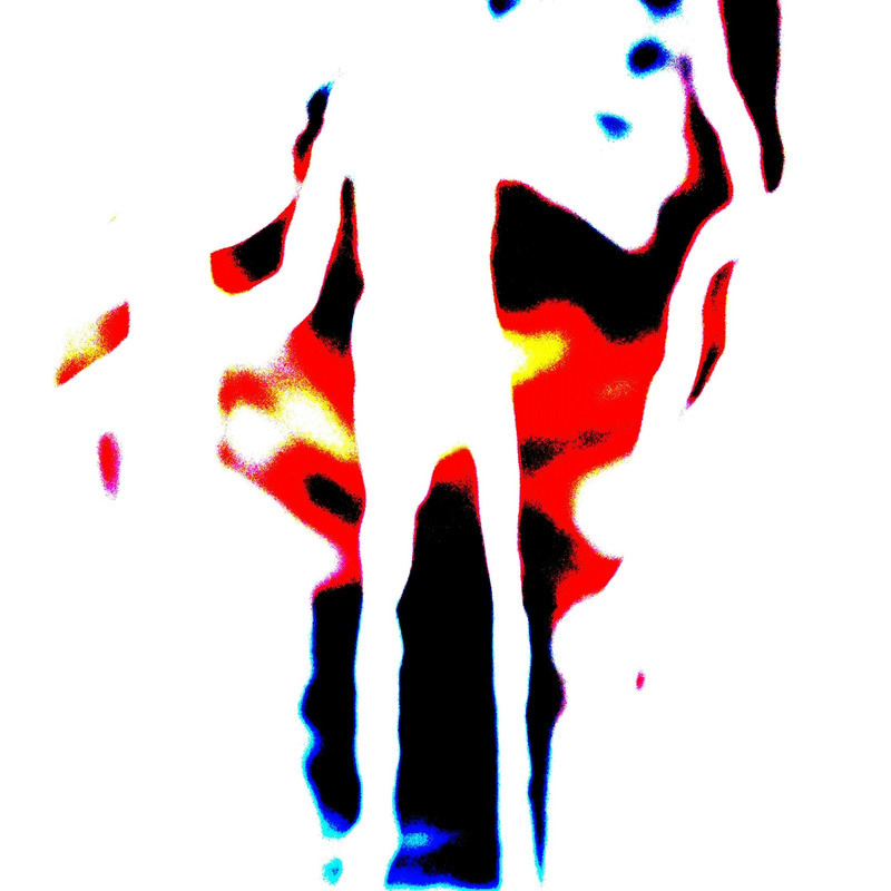 image de 